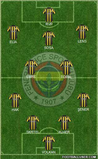 Fenerbahçe SK Formation 2016