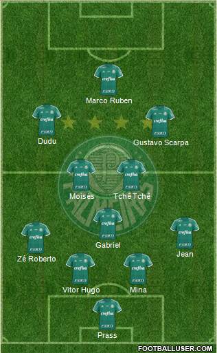 SE Palmeiras Formation 2016