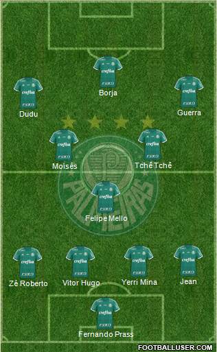 SE Palmeiras Formation 2016