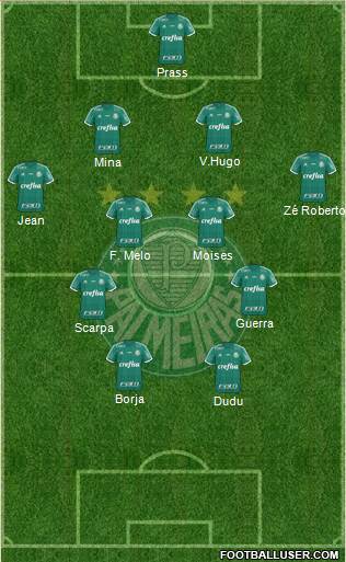 SE Palmeiras Formation 2016