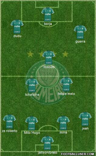 SE Palmeiras Formation 2016