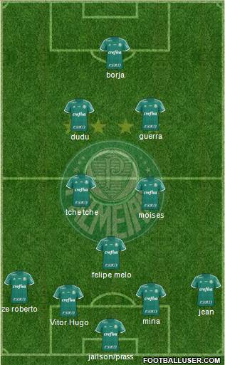 SE Palmeiras Formation 2016