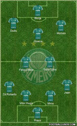 SE Palmeiras Formation 2016