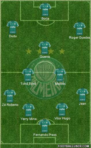 SE Palmeiras Formation 2016