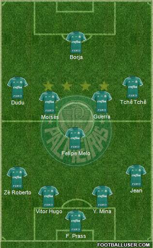 SE Palmeiras Formation 2016