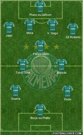 SE Palmeiras Formation 2016