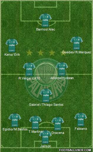 SE Palmeiras Formation 2016