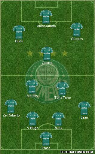 SE Palmeiras Formation 2016
