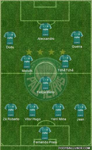 SE Palmeiras Formation 2016