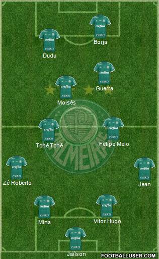 SE Palmeiras Formation 2016