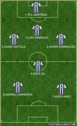 Newcastle United Formation 2016