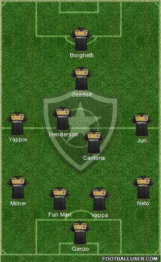 Botafogo FR Formation 2017