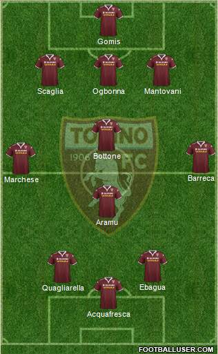 Torino Formation 2017