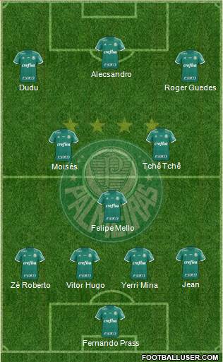 SE Palmeiras Formation 2017