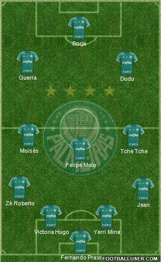 SE Palmeiras Formation 2017