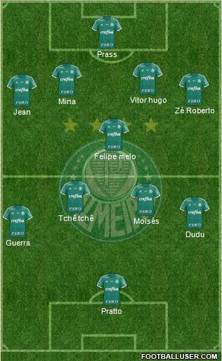 SE Palmeiras Formation 2017
