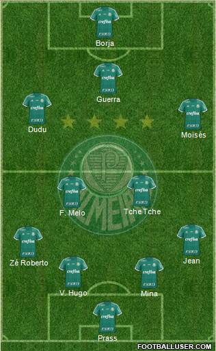 SE Palmeiras Formation 2017