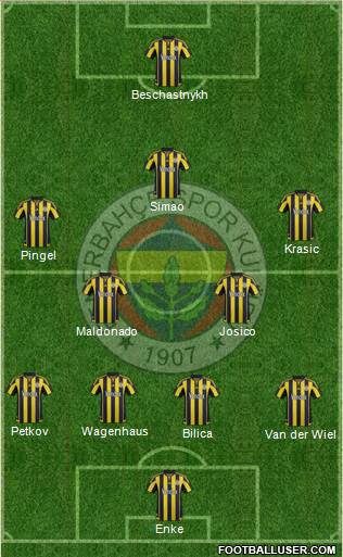 Fenerbahçe SK Formation 2017