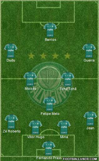 SE Palmeiras Formation 2017