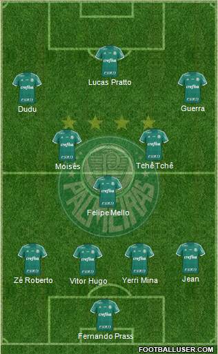 SE Palmeiras Formation 2017