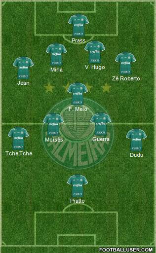 SE Palmeiras Formation 2017