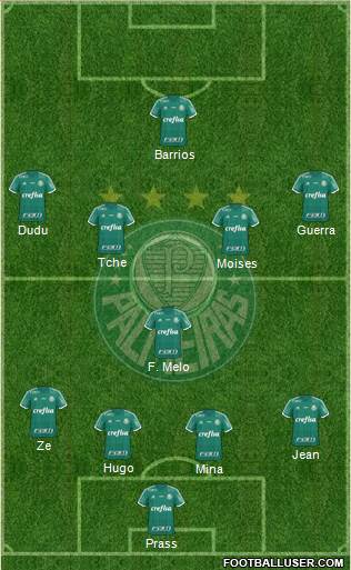 SE Palmeiras Formation 2017