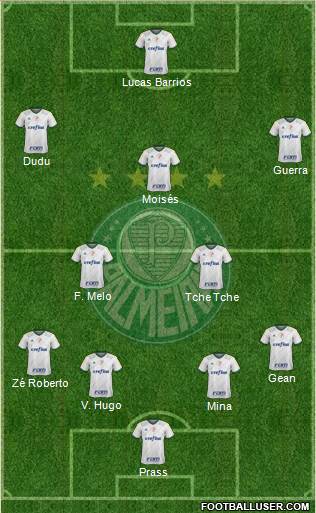 SE Palmeiras Formation 2017