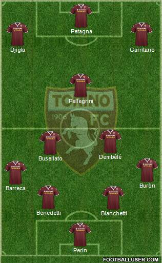 Torino Formation 2017