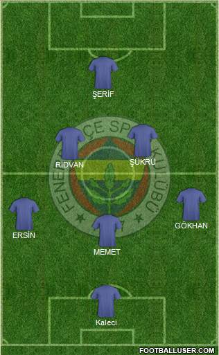 Fenerbahçe SK Formation 2017