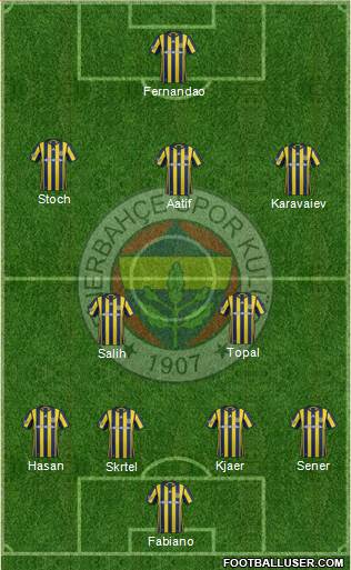 Fenerbahçe SK Formation 2017