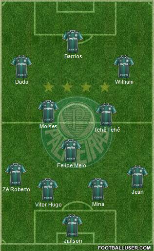 SE Palmeiras Formation 2017