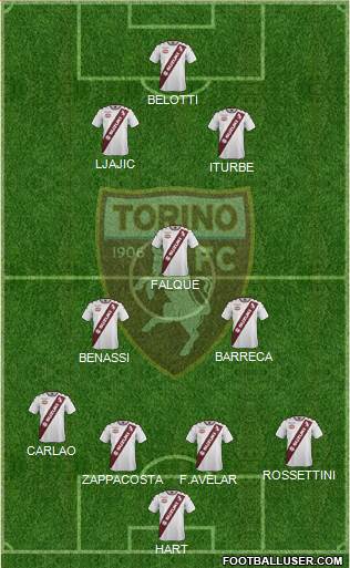 Torino Formation 2017