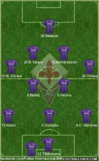 Fiorentina Formation 2017