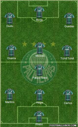 SE Palmeiras Formation 2017