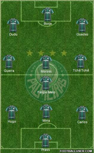 SE Palmeiras Formation 2017