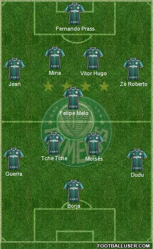 SE Palmeiras Formation 2017