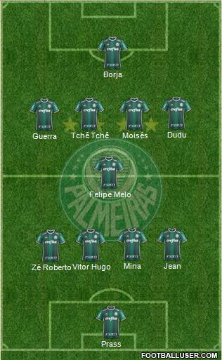 SE Palmeiras Formation 2017