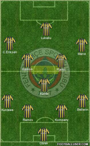 Fenerbahçe SK Formation 2017