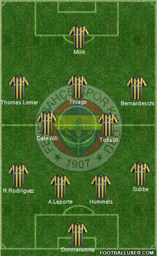 Fenerbahçe SK Formation 2017