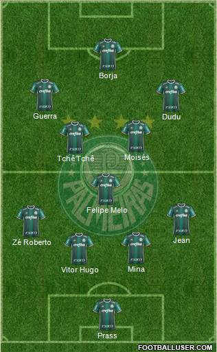 SE Palmeiras Formation 2017