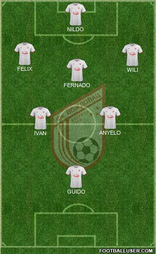 FK Vozdovac Beograd Formation 2017