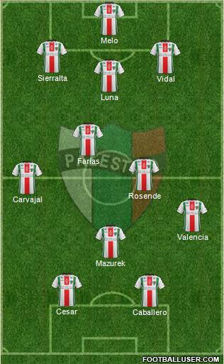 CD Palestino S.A.D.P. Formation 2017