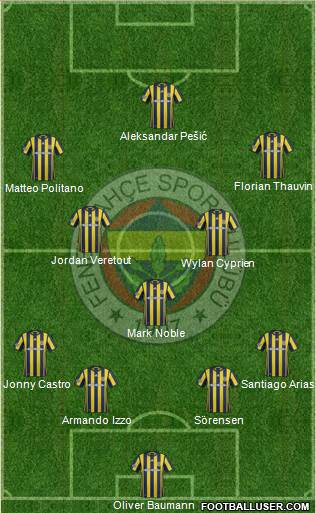 Fenerbahçe SK Formation 2017