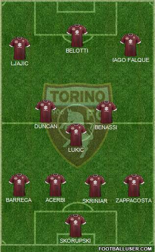 Torino Formation 2017