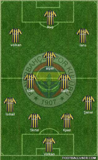 Fenerbahçe SK Formation 2017