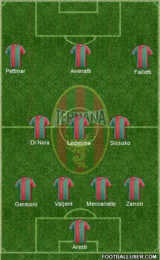 Ternana Formation 2017