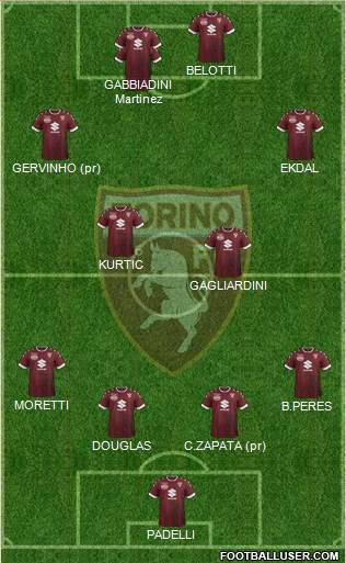 Torino Formation 2017