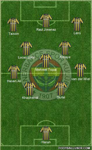 Fenerbahçe SK Formation 2017