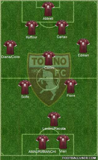 Torino Formation 2017