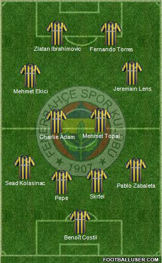Fenerbahçe SK Formation 2017